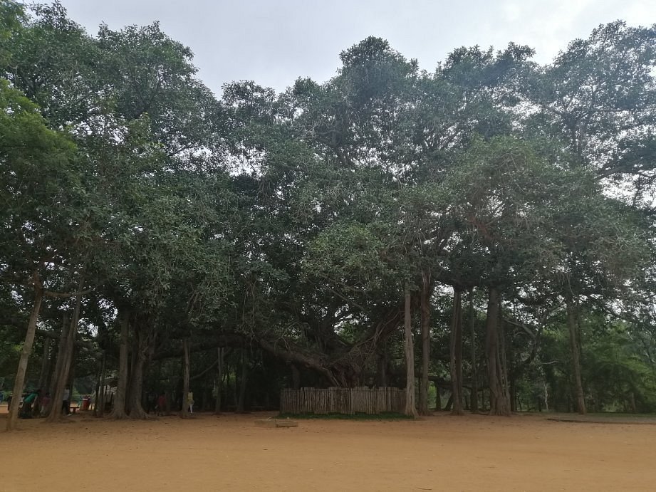 Auroville