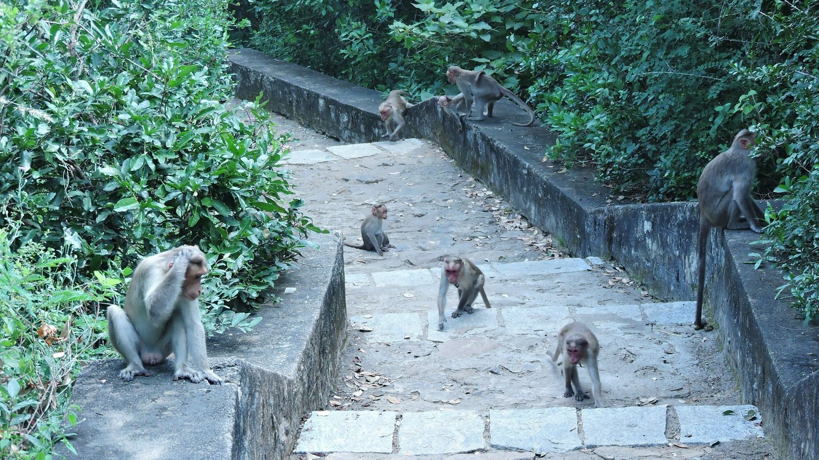 Parvathamalai